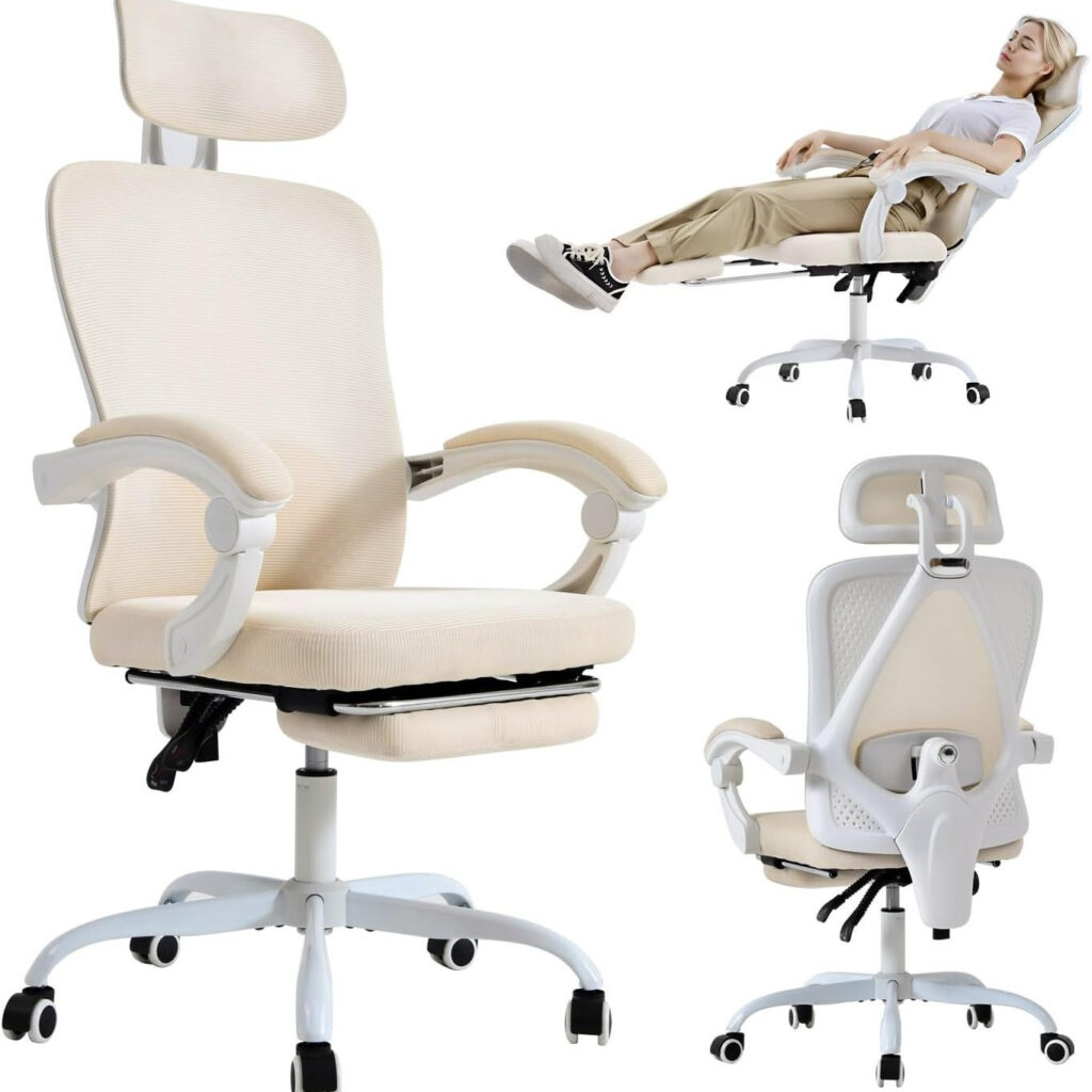 Ergonomic Office Chair